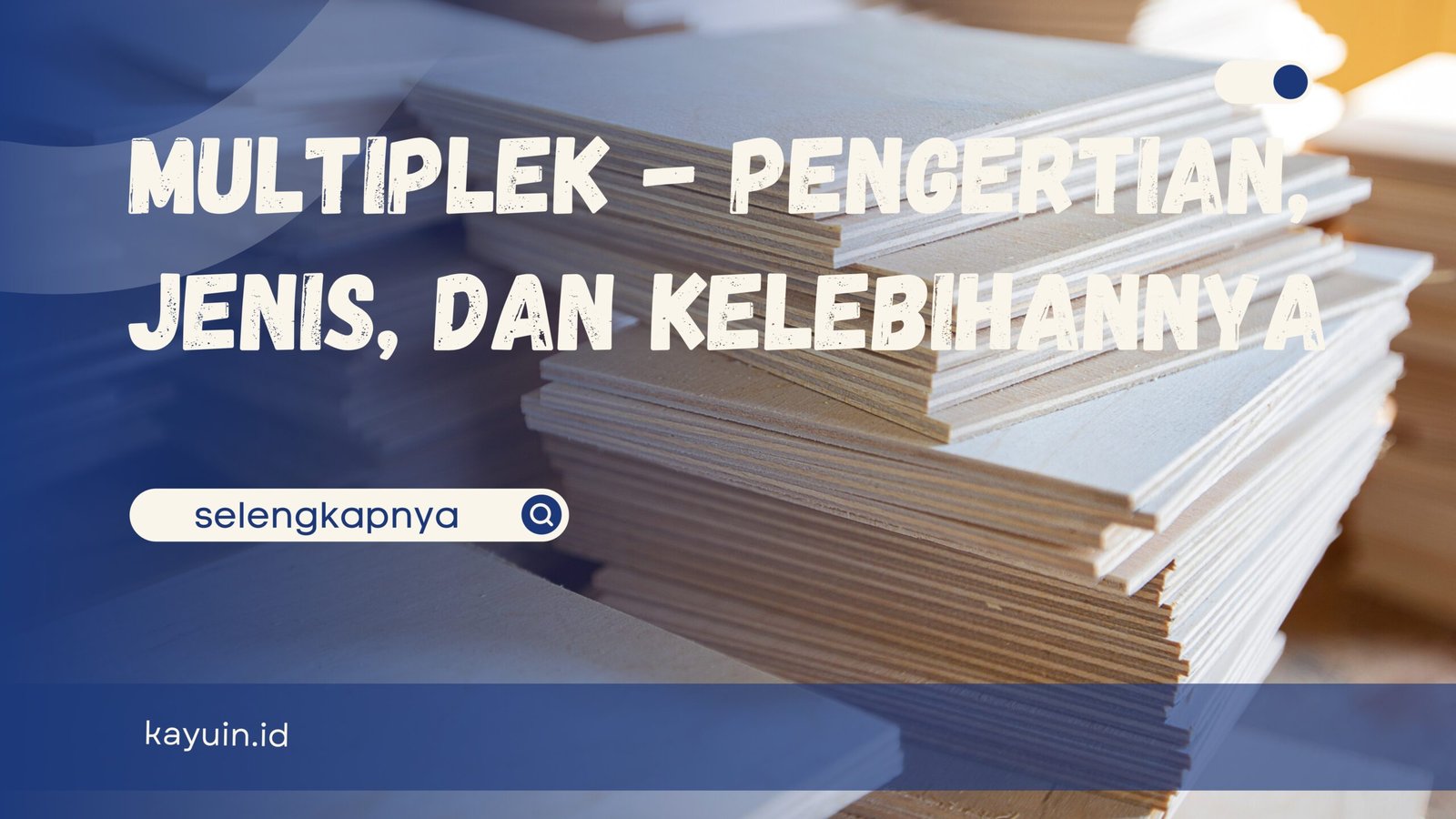 multiplek