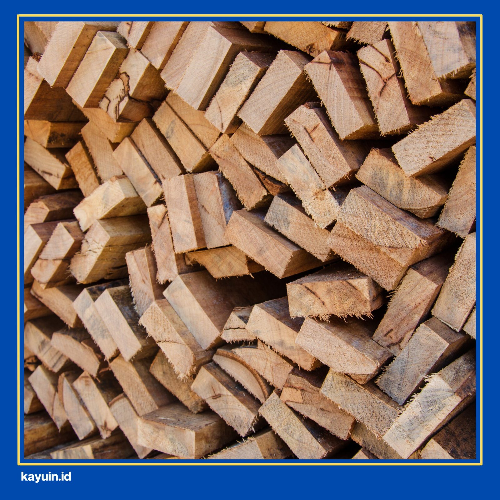 kayu murah