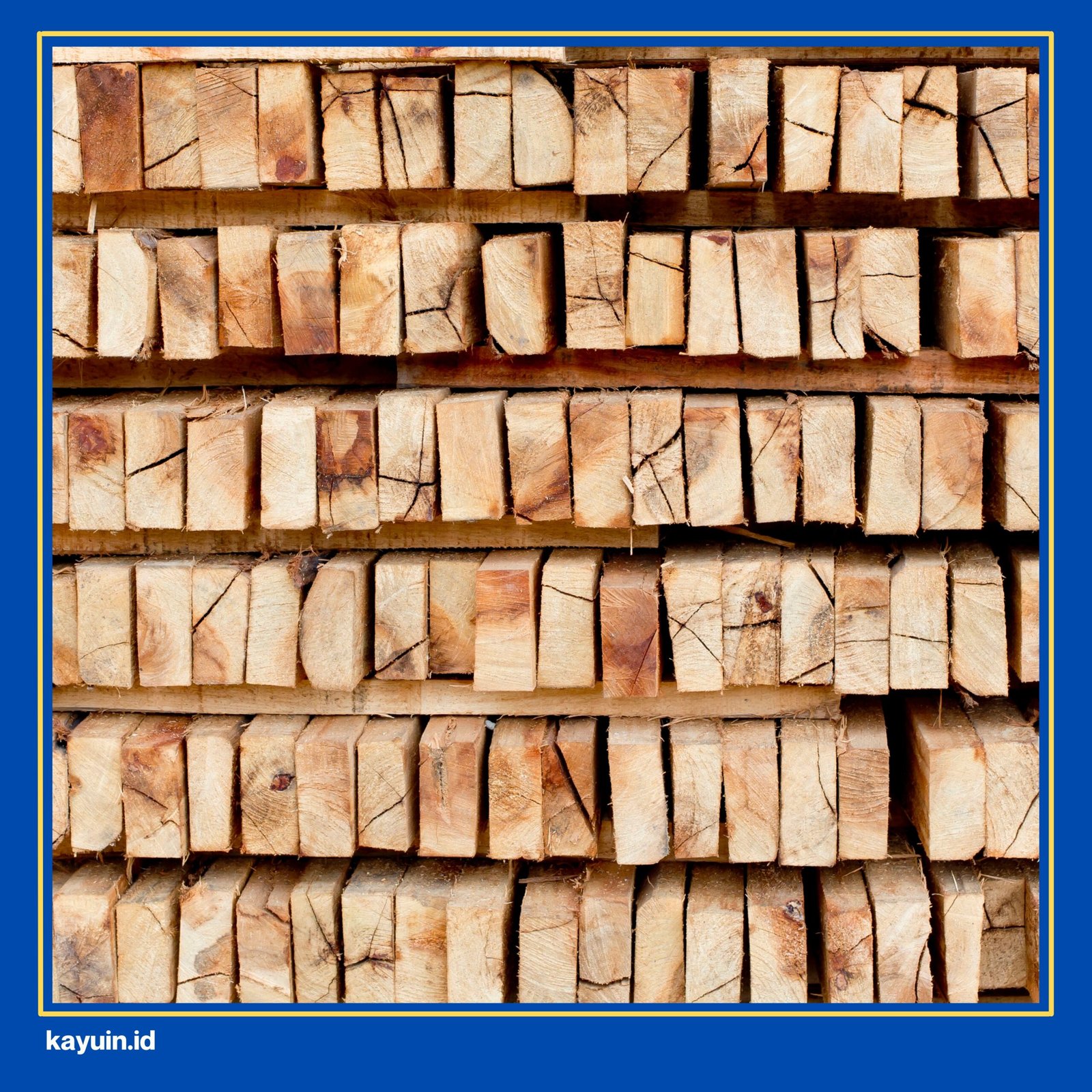 kayu murah