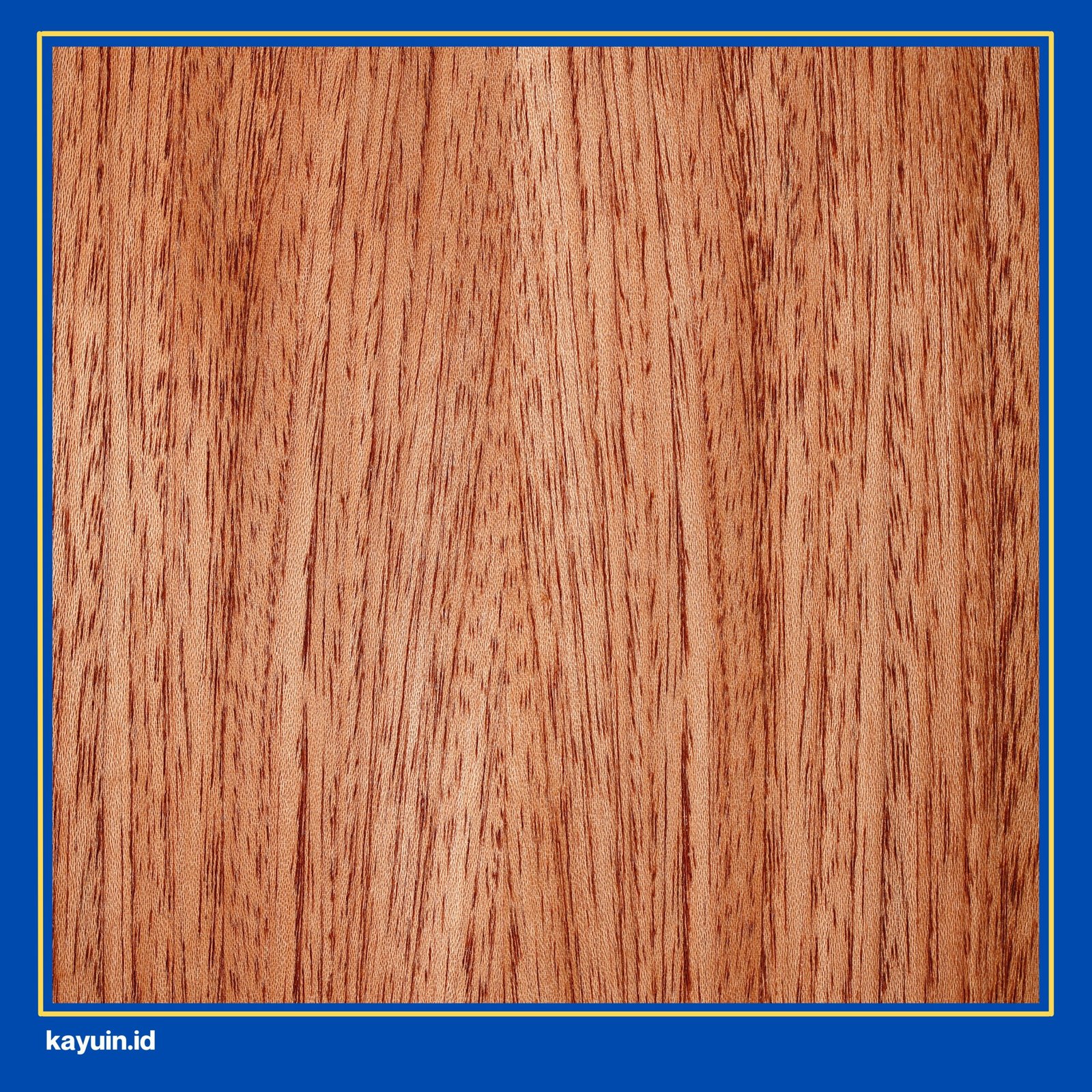 kayu meranti merah
