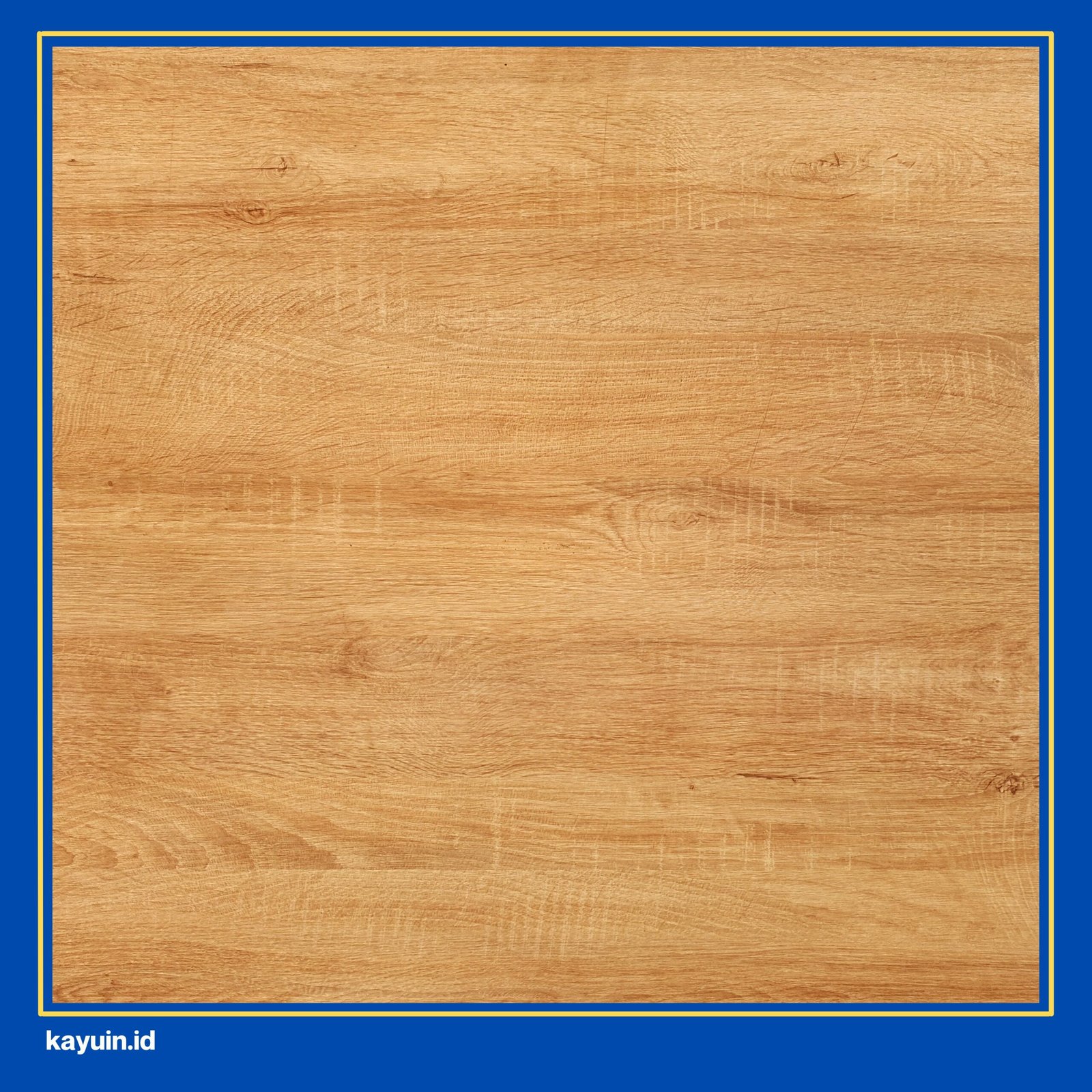 kayu meranti kuning