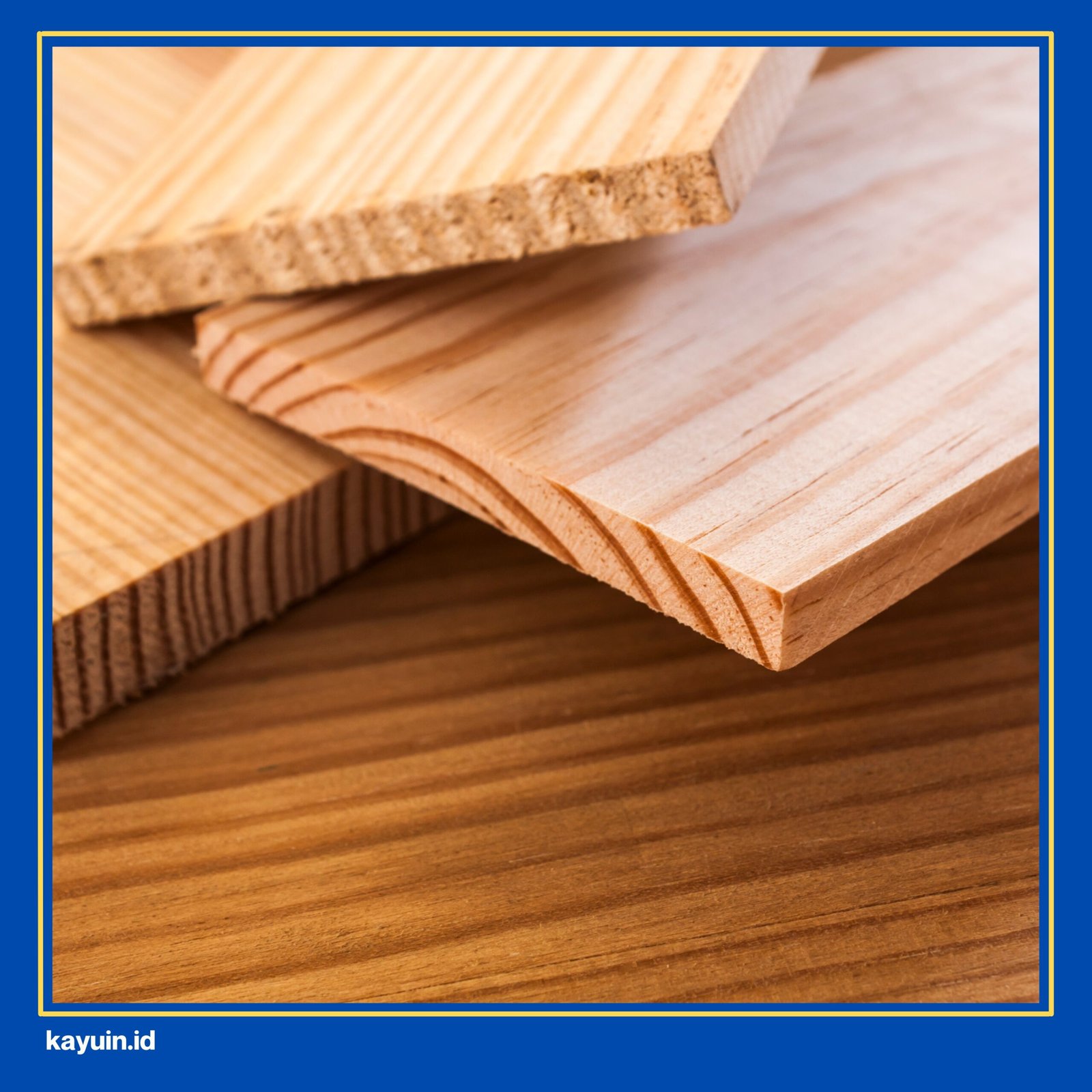 kayu meranti