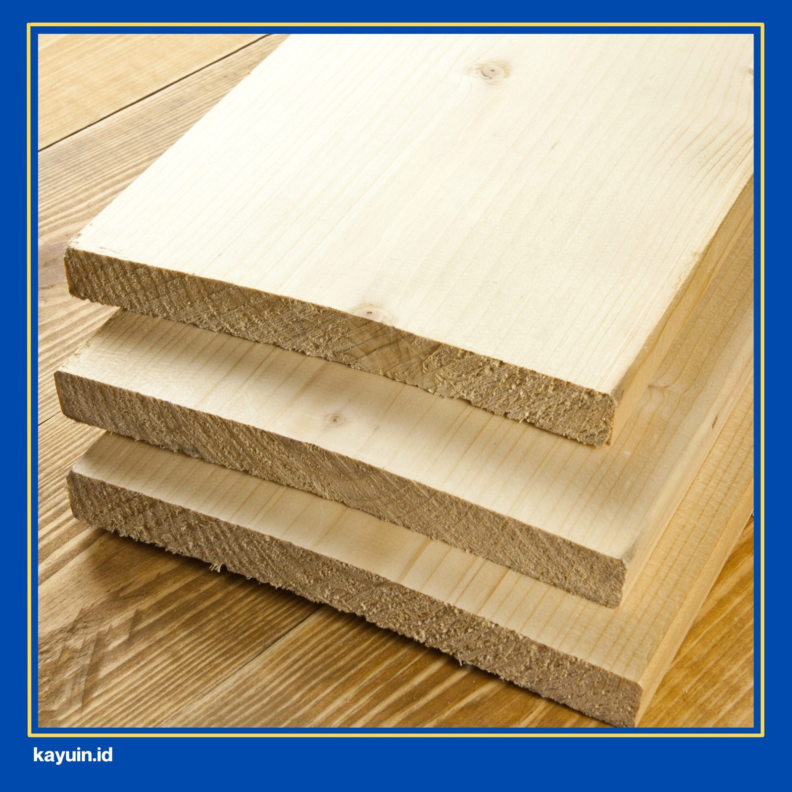 kayu meranti