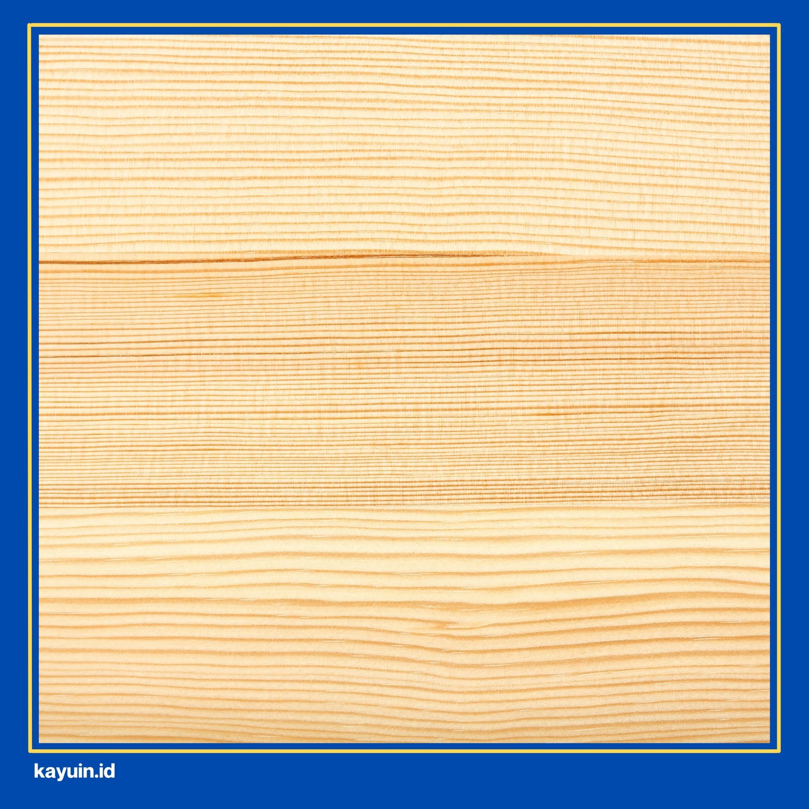 kayu meranti