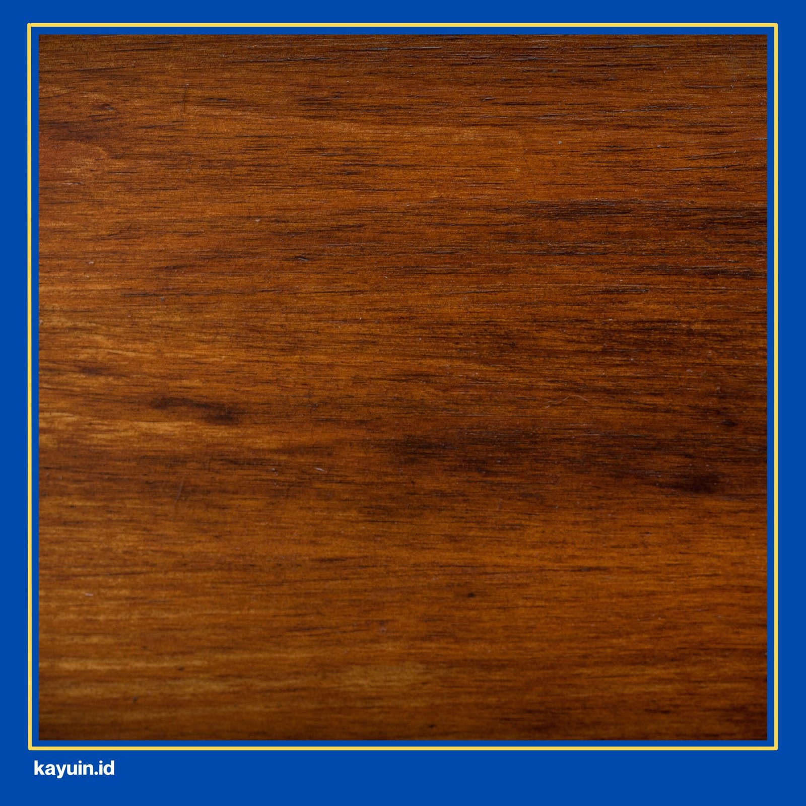 kayu meranti