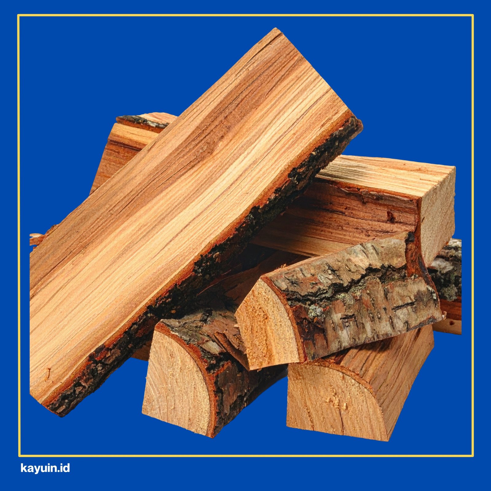 kayu bayur