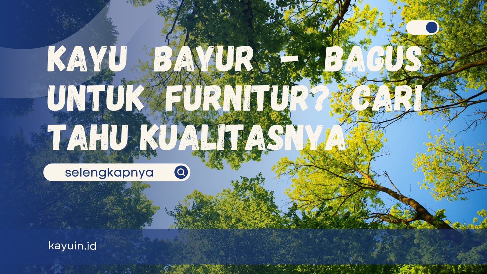 Kayu bayur