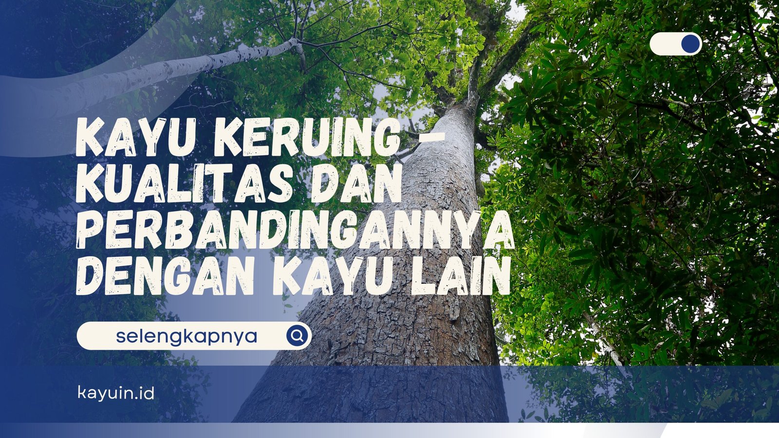 Kayu keruing