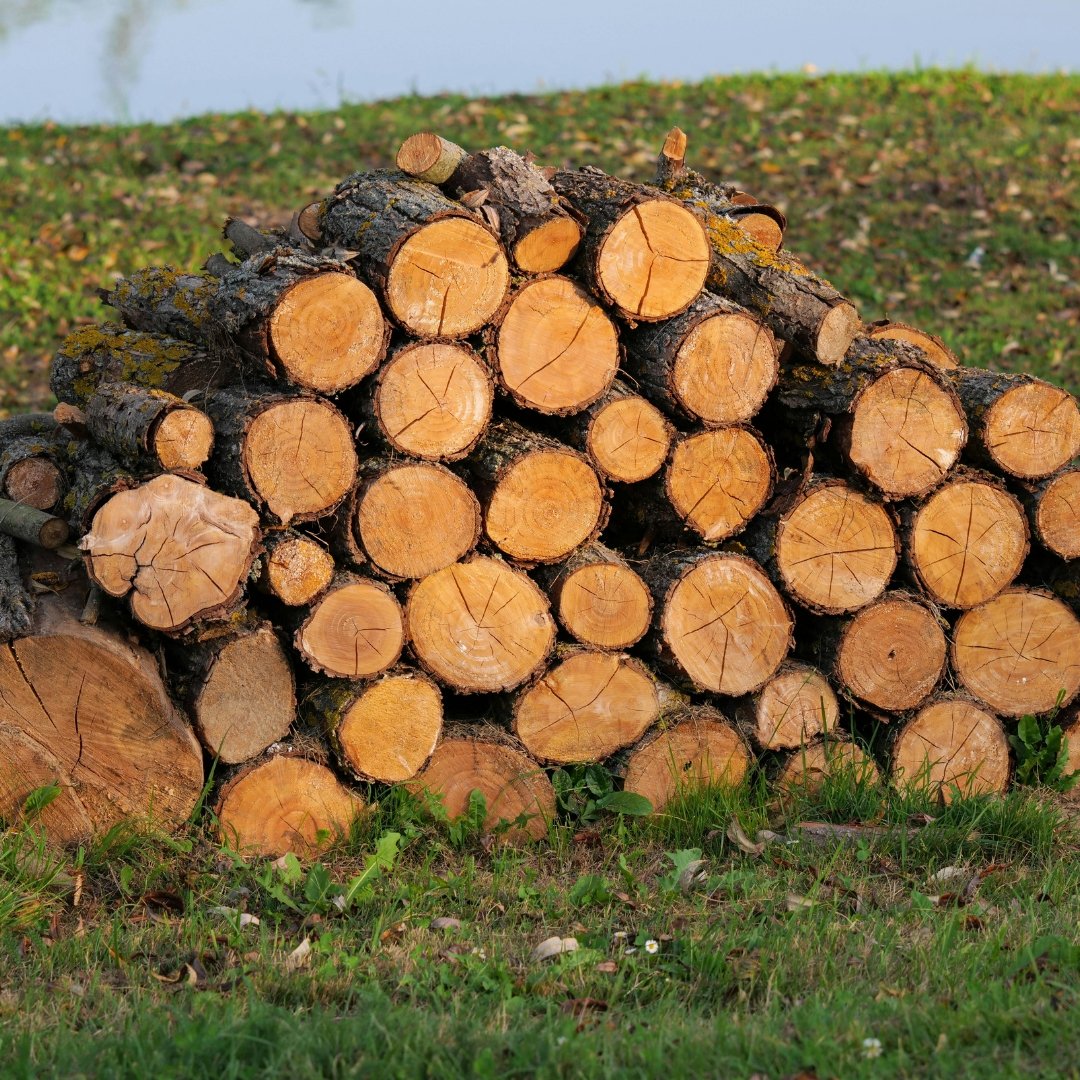 kayu dolken adalah