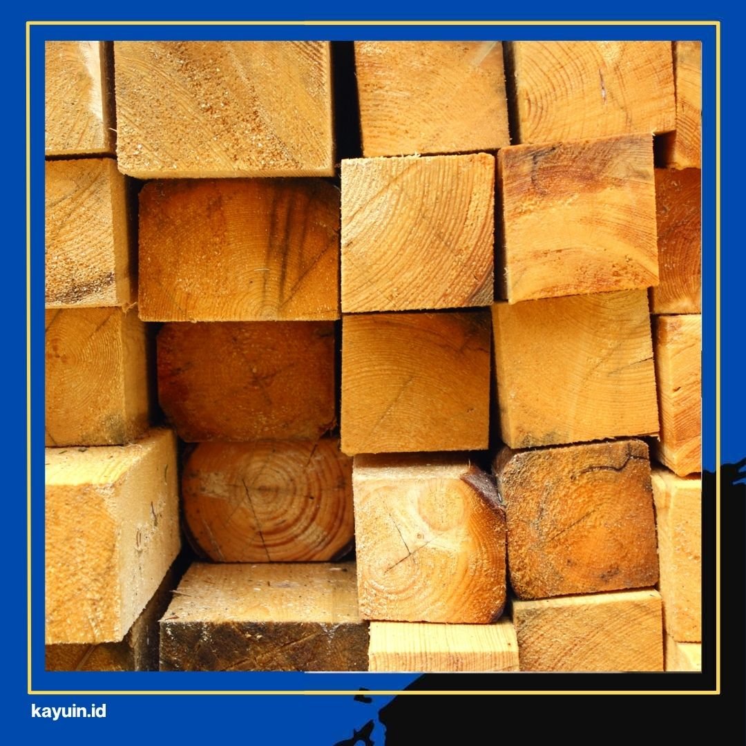 Jenis Kayu untuk Pintu