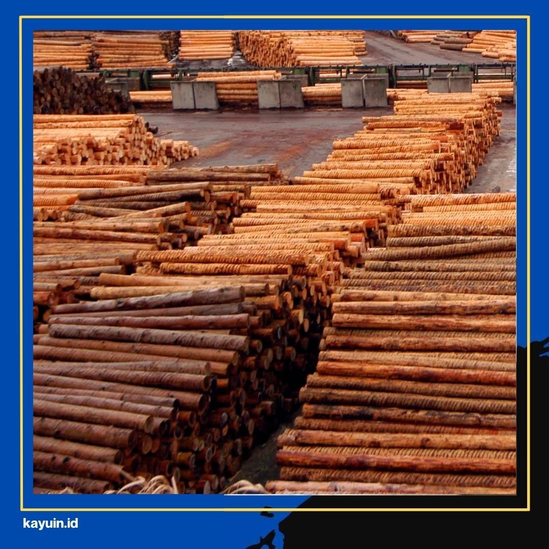 Berapa Harga Kusen Kayu Meranti