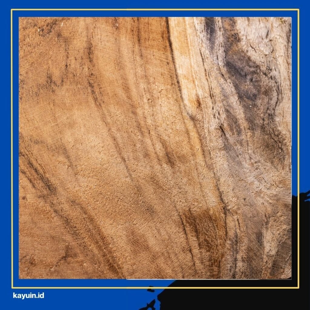 Kelebihan Jendela Kayu Jati