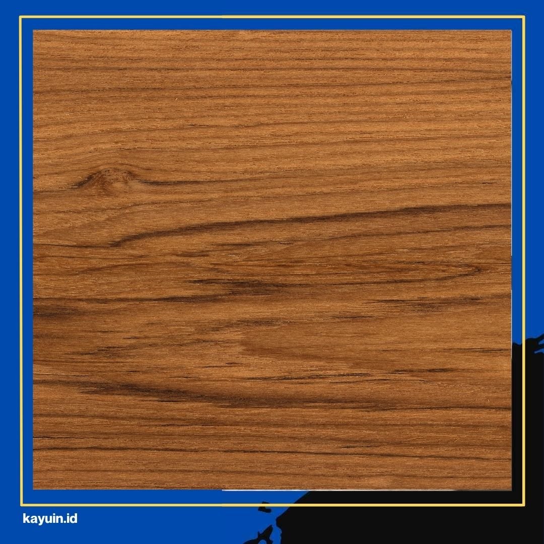 Tips Memilih Pintu Kayu Solid